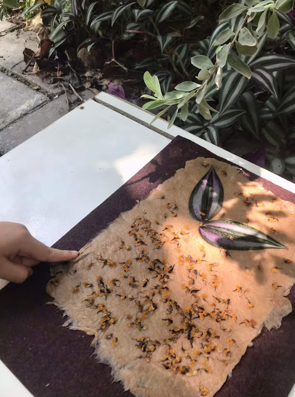 Workshop Making Dó Paper (4)